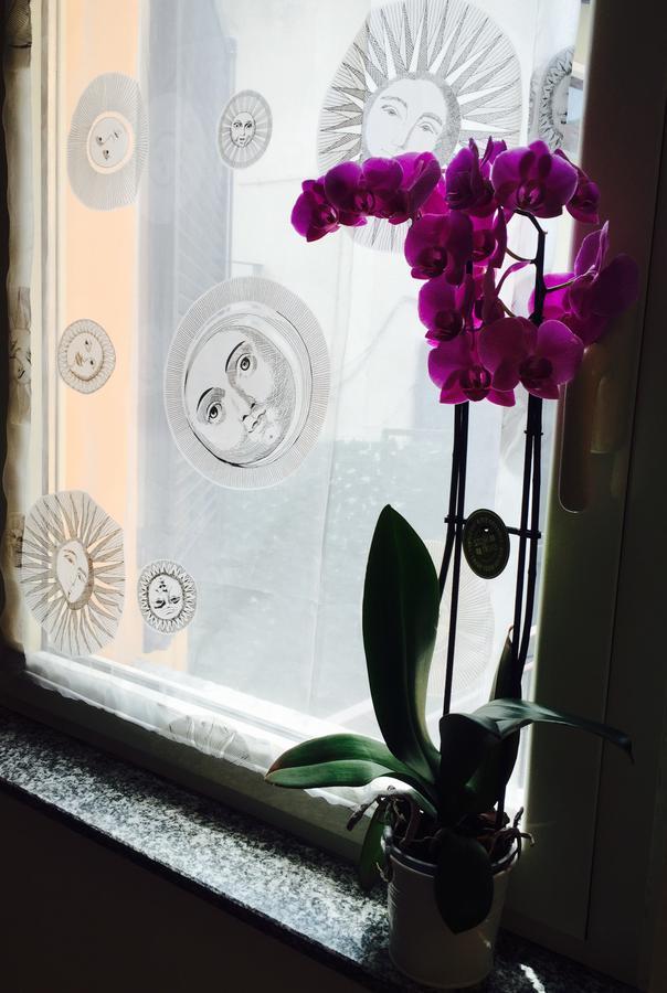 Suite Baveno Bagian luar foto
